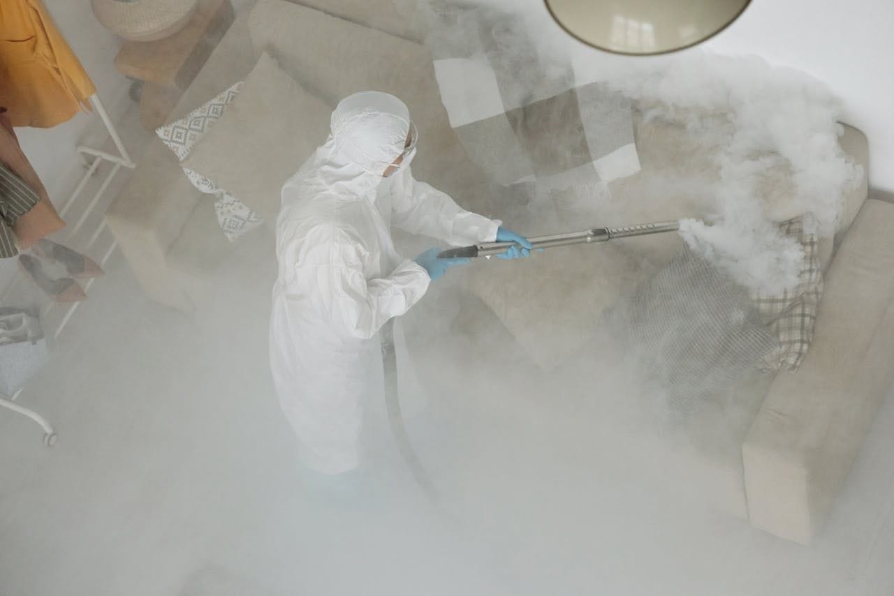 pest control and fumigation service
