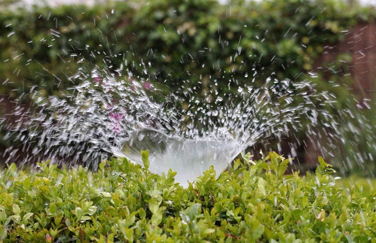 sprinklers and irrigation system